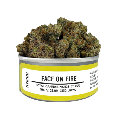 4G Wiet kopen: Face on Fire 23% THC - Intens en Vurig