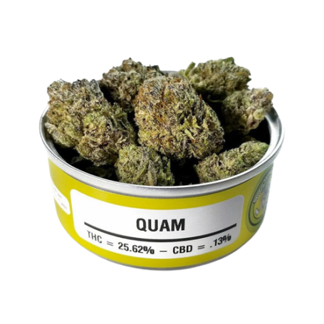 Acheter de l'herbe 4g - Quam 25% THC en ligne : Herbe Indica de qualité supérieure provenant de Ka
