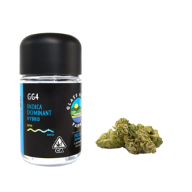 GG 4 Weed - Intensiivinen kokemus kannabiksen ystäville | THCweedonlin