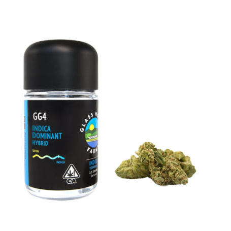 GG 4 Weed - Un'esperienza intensa per gli amanti della cannabis | THCweedonlin