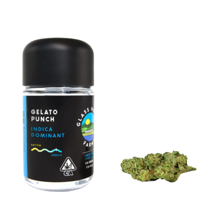 Weed Gelato Punch - 3,5g : Découvrez des saveurs délicieuses et relaxantes.