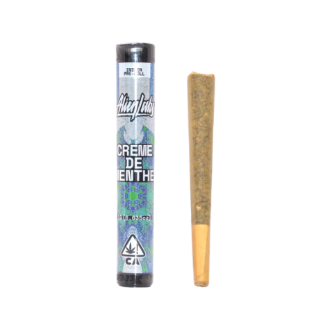 Creme de Menthe - Vorgedrehter Weed Joint 1.0g kaufen - Intensiver Ge