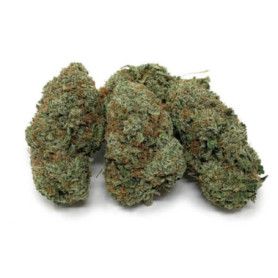 Godfather OG AAA - De perfecte Indica-dominante hybride soort om te kopen