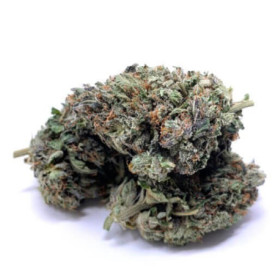 Bubba Kush AAA - Bestel hoogwaardige Indica-soort online.