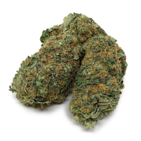 Köp Sour Diesel AAA - Högkvalitativt Sativa Weed online