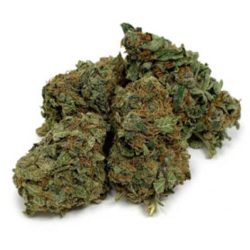 Pink Lemonade AAA : une variété hybride à dominance indica avec un effet enivrant.