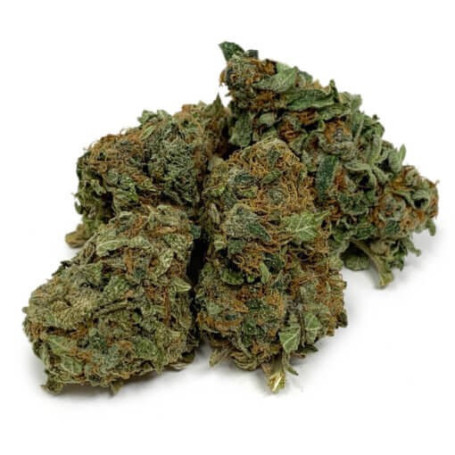 Pink Lemonade AAA: Indica-dominerad hybridsort med upplyftande hög.