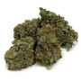 Pink Lemonade AAA: Indica-dominante Hybridsorte mit erhebendem High
