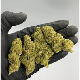 Citron Kush Cannabis