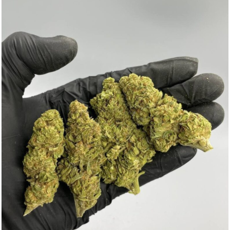 Sitruunakush-kannabis.