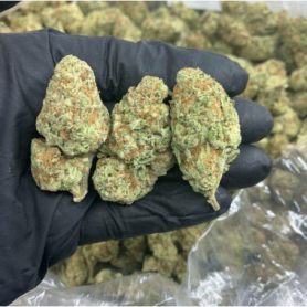 Köp White Kush Weed online: Avslappnande Indica-hybridsort med 20% THC.
