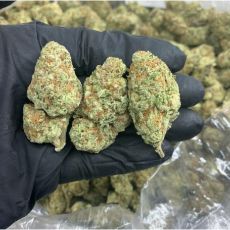 Acquista online White Kush Weed: varietà ibrida Indica rilassante con 20