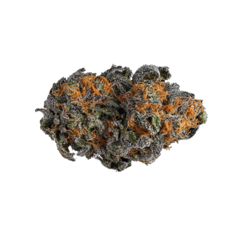 Mustikka (Indica) - Intensiivinen ja rauhoittava marihuana-kokemus